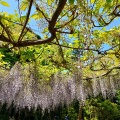 実際訪問したユーザーが直接撮影して投稿した富士町神社唐澤山神社の写真