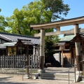 実際訪問したユーザーが直接撮影して投稿した中村町神社豊国神社の写真