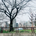 実際訪問したユーザーが直接撮影して投稿した糸屋町公園中大江公園の写真