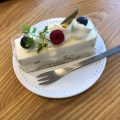 レアチーズ - 実際訪問したユーザーが直接撮影して投稿した青戸ケーキPATISSERIE UN FOND SOLAIRE 青戸店の写真のメニュー情報