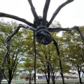 実際訪問したユーザーが直接撮影して投稿した六本木オブジェ巨大クモ・ママンの写真