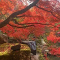 実際訪問したユーザーが直接撮影して投稿した百済寺町寺百済寺の写真