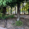 実際訪問したユーザーが直接撮影して投稿した喜多見公園世田谷区立喜多見公園	の写真