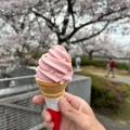 実際訪問したユーザーが直接撮影して投稿した市場東定食屋レストラン泉の森の写真