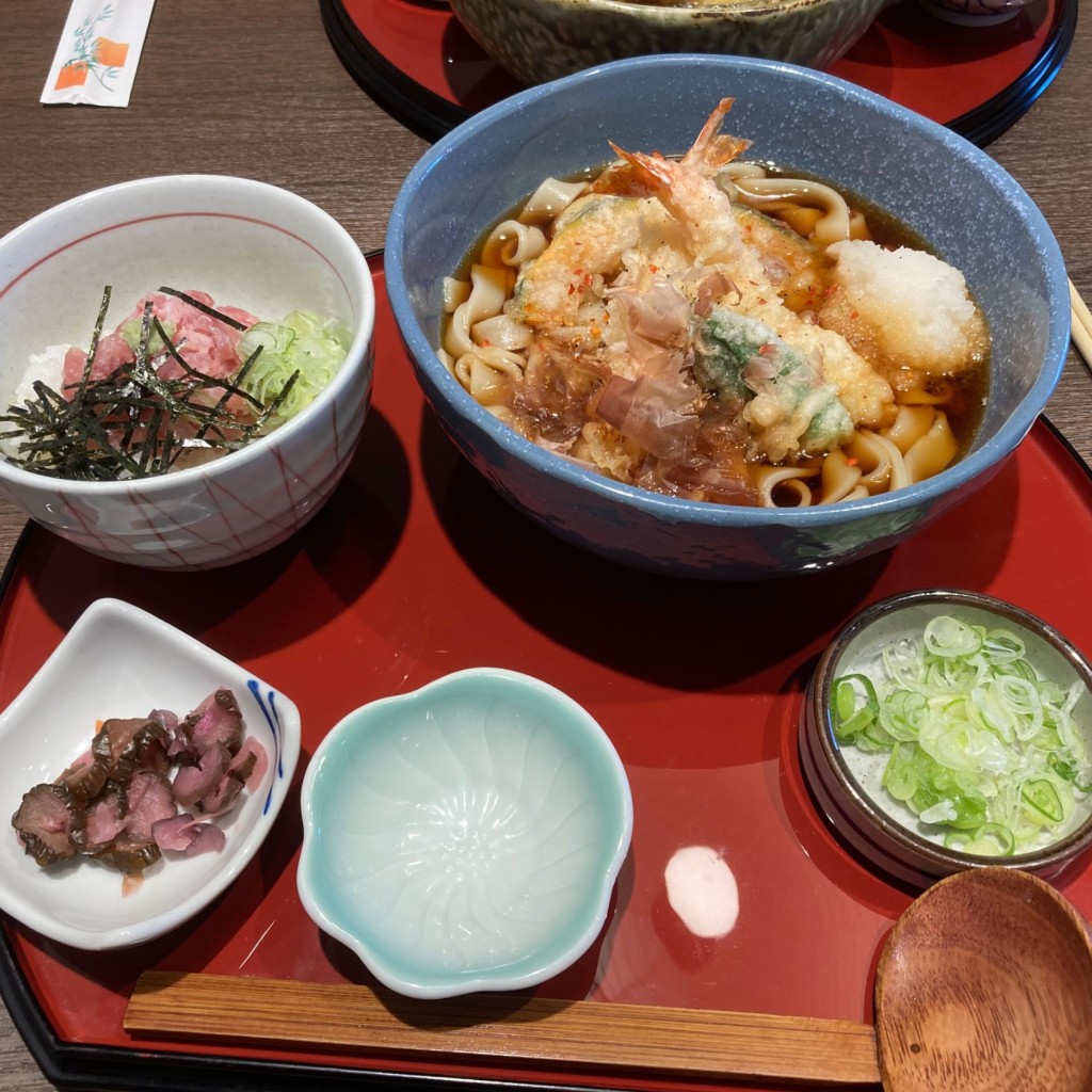 ユーザーが投稿した天おろしきしお好みランチの写真 - 実際訪問したユーザーが直接撮影して投稿した春木和食 / 日本料理和食麺処サガミ 東郷店の写真