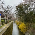 実際訪問したユーザーが直接撮影して投稿した浄土寺下南田町散策路哲学の道の写真