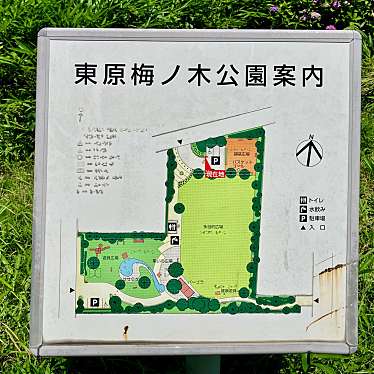 実際訪問したユーザーが直接撮影して投稿した東原公園豊田東原梅ノ木公園の写真