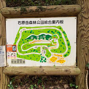 実際訪問したユーザーが直接撮影して投稿した西海町横瀬郷公園石原岳森林公園の写真