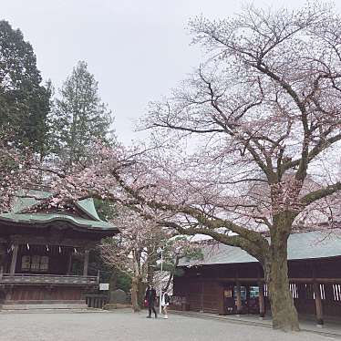 つづぅさんが投稿した馬場通り神社のお店宇都宮二荒山神社/ウツノミヤフタアラヤマジンジャの写真