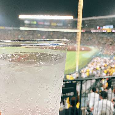 実際訪問したユーザーが直接撮影して投稿した甲子園町アイスクリームディッピンドッツ 阪神甲子園球場店の写真