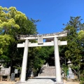 実際訪問したユーザーが直接撮影して投稿した香椎神社香椎宮の写真