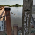 実際訪問したユーザーが直接撮影して投稿した水原湖沼 / 池瓢湖の写真