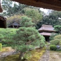 実際訪問したユーザーが直接撮影して投稿した小泉町寺慈光院の写真