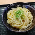 かま玉うどん - 実際訪問したユーザーが直接撮影して投稿した広畑区高浜町うどんはなまるうどん 広畑高浜店の写真のメニュー情報