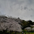 実際訪問したユーザーが直接撮影して投稿した館山公園城山公園の写真