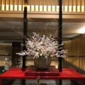 実際訪問したユーザーが直接撮影して投稿した柿本町ホテル京都東急ホテルの写真