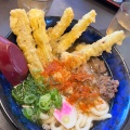 肉ごぼ天うどん - 実際訪問したユーザーが直接撮影して投稿した財光寺うどん資さんうどん 日向財光寺店の写真のメニュー情報