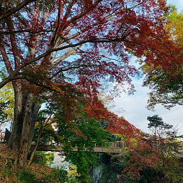 実際訪問したユーザーが直接撮影して投稿した寄居公園雀宮公園の写真