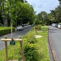 実際訪問したユーザーが直接撮影して投稿した二の丸公園二の丸街園の写真