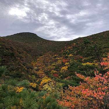 実際訪問したユーザーが直接撮影して投稿した永田山 / 峠安達太良山の写真