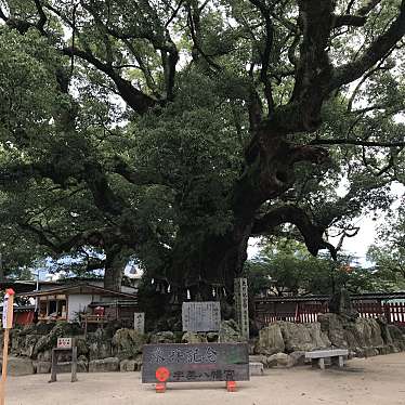 実際訪問したユーザーが直接撮影して投稿した宇美和カフェ / 甘味処宇美八幡茶屋	こやすもちの写真