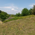 実際訪問したユーザーが直接撮影して投稿した阿部山古墳キトラ古墳の写真