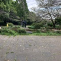 実際訪問したユーザーが直接撮影して投稿した麹町公園千鳥ヶ淵公園の写真