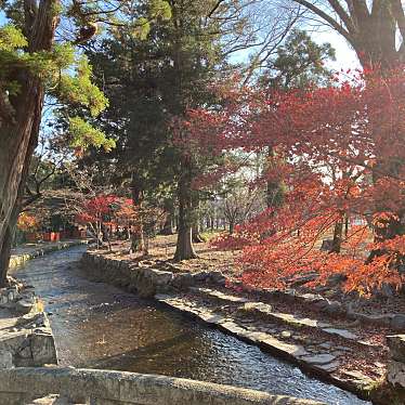 okometopanさんが投稿した上賀茂本山神社のお店上賀茂神社/カミガモ ジンジャの写真