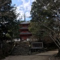 実際訪問したユーザーが直接撮影して投稿した井尻野寺宝福寺の写真