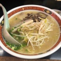 実際訪問したユーザーが直接撮影して投稿した広島ラーメン / つけ麺一冨士の写真