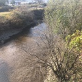 実際訪問したユーザーが直接撮影して投稿した河川天白川の写真