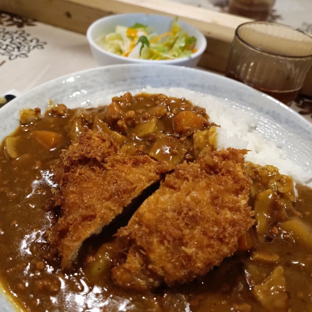 ユーザーが投稿したヒレカツカレー(1枚)の写真 - 実際訪問したユーザーが直接撮影して投稿した博多駅前居酒屋てっ平の写真