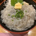 生しらす丼 - 実際訪問したユーザーが直接撮影して投稿した千本港町魚介 / 海鮮料理海鮮丼専門店 伊助の写真のメニュー情報