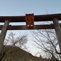 実際訪問したユーザーが直接撮影して投稿した新堀神社高麗神社の写真