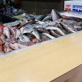 実際訪問したユーザーが直接撮影して投稿した光明町居酒屋魚の松本の写真