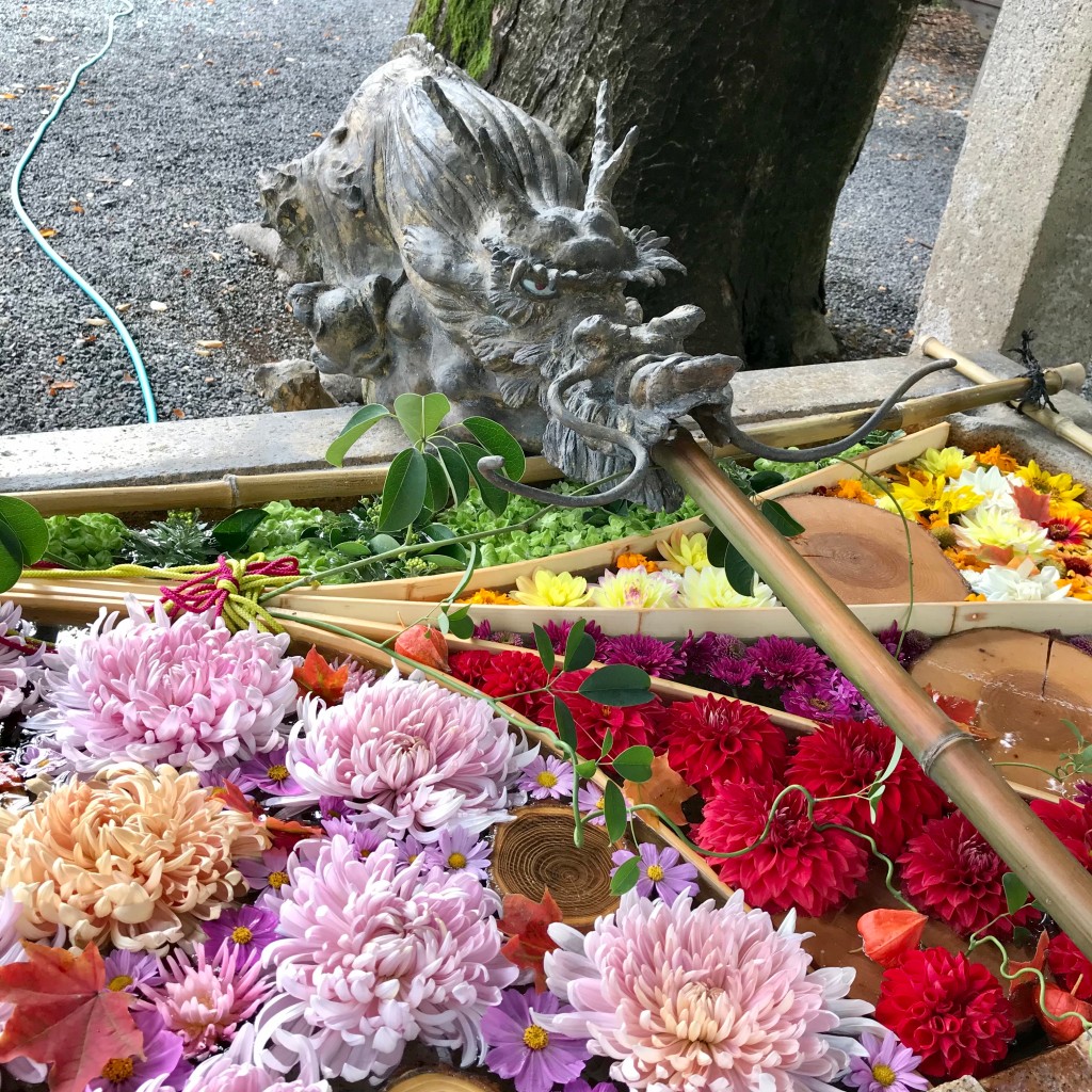 実際訪問したユーザーが直接撮影して投稿した穂高神社穂高神社の写真