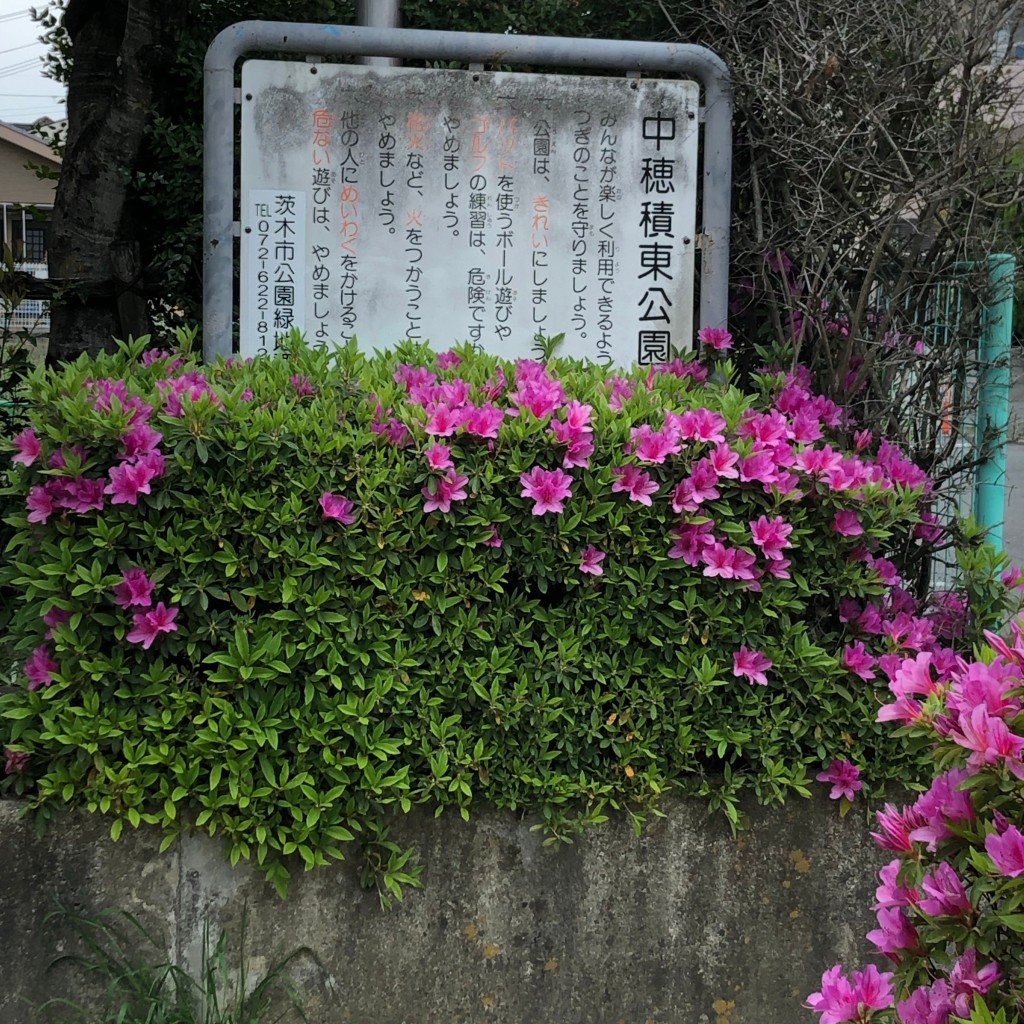 ekoekko-tさんが投稿した中穂積公園のお店中穂積東公園/チュウホヅミヒガシコウエンの写真