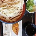 ざる - 実際訪問したユーザーが直接撮影して投稿した寺崎うどん丸亀製麺 笠間店の写真のメニュー情報