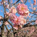 実際訪問したユーザーが直接撮影して投稿した若松町公園南公園の写真