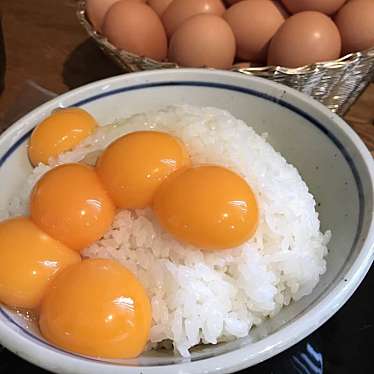 実際訪問したユーザーが直接撮影して投稿した但東町栗尾和食 / 日本料理たまごかけごはん・但熊の写真