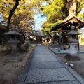 実際訪問したユーザーが直接撮影して投稿した今津上野町神社上野神社の写真