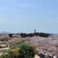 実際訪問したユーザーが直接撮影して投稿した後田町公園戦場ヶ原公園の写真