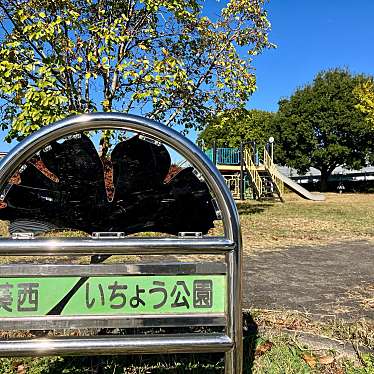 実際訪問したユーザーが直接撮影して投稿した葵西公園葵西いちょう公園の写真