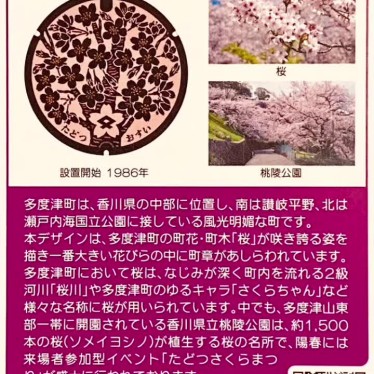 実際訪問したユーザーが直接撮影して投稿した栄町町村役場多度津町役場の写真