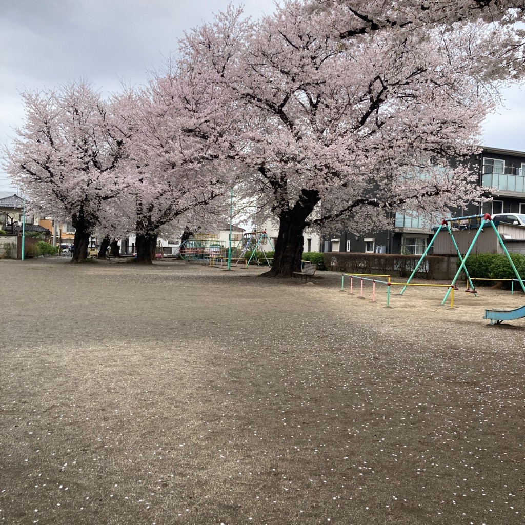 実際訪問したユーザーが直接撮影して投稿した宮原町公園中道公園の写真