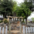 実際訪問したユーザーが直接撮影して投稿した二子町神社白山神社の写真