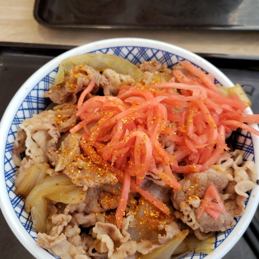 ユーザーが投稿した牛丼の写真 - 実際訪問したユーザーが直接撮影して投稿した中央牛丼吉野家 三郷中央店の写真