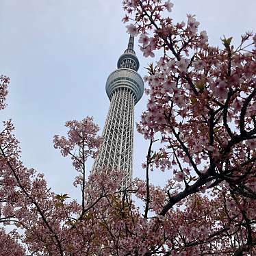 東京スカイツリーのundefinedに実際訪問訪問したユーザーunknownさんが新しく投稿した新着口コミの写真