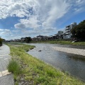 実際訪問したユーザーが直接撮影して投稿した河川鴨川の写真