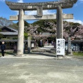 実際訪問したユーザーが直接撮影して投稿した西公園神社光雲神社の写真